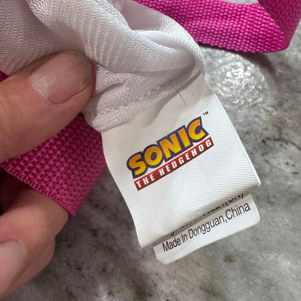 Sonic the Hedgehog Amy Rose 15